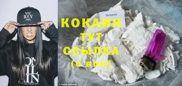 сатива Баксан
