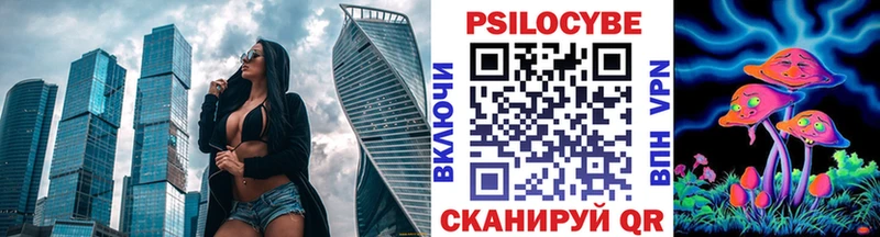 наркота  Шахунья  мега зеркало  Галлюциногенные грибы Psilocybe 